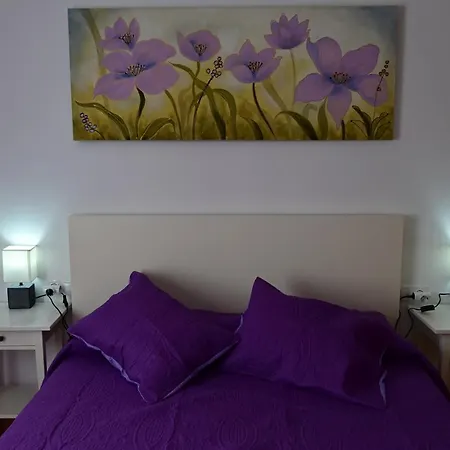 Ale's House Διαμέρισμα *